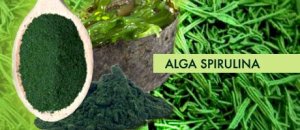 alga-spirulina1